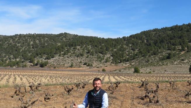 Carlos Vázquez, fundador de Bodegas.bio, en los viñedos de una de las bodegas del proyecto.
