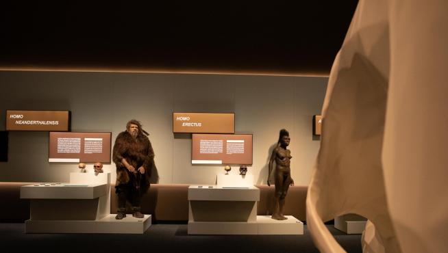 El origen del lenguaje en el Caixaforum