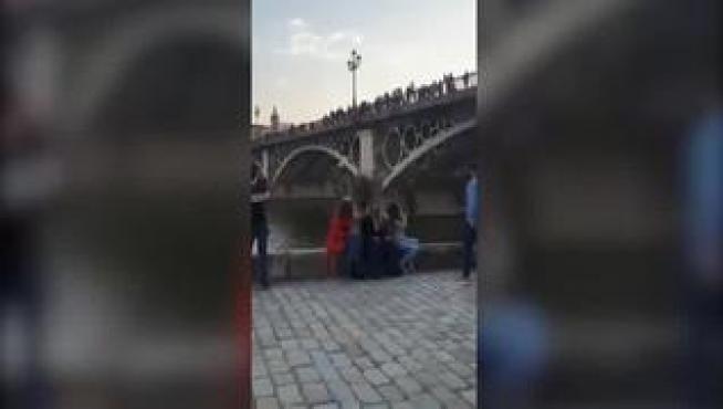 Hasta cuatro jóvenes se han lanzado al río desde el puente de Triana, un serio peligro con multa