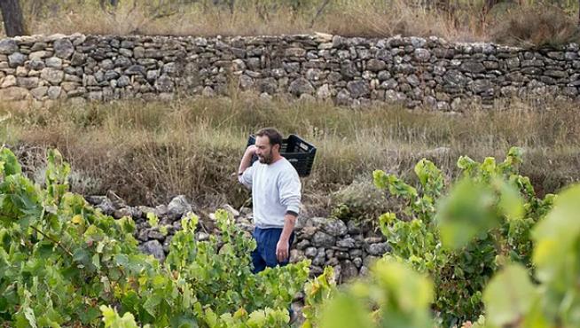 Jordi Solá trabaja viñedos, además de regentar a tienda.