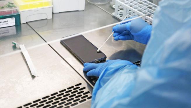Hacer una PCR al celular, el original método chileno para frenar la covid