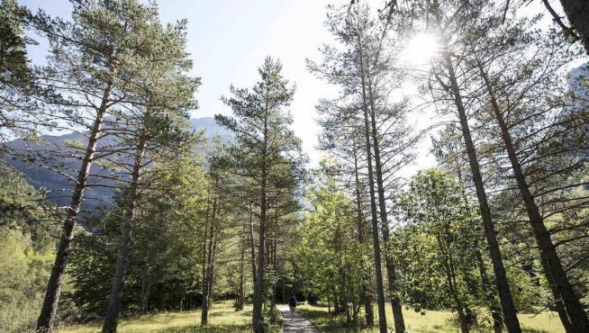 Parque Nacional del Ordesa y Monte Perdido