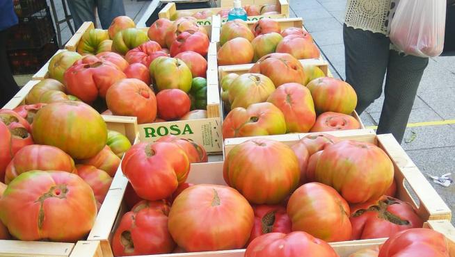 Hermosos ejemplares de tomate rosa en la plaza del Mercado de Barbastro.