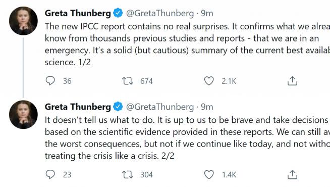 A tweet by climate activist Greta Thunberg