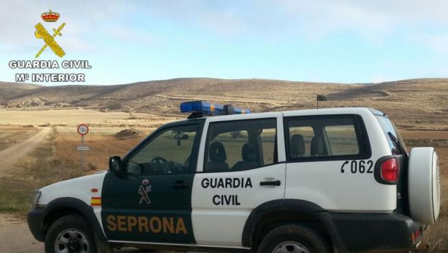 Investigados dos vecinos de Aniñón por cazar un corzo sin autorización en un coto de Soria