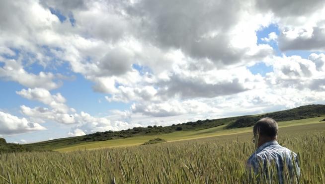Aragón cuenta con más de 1.200 operadores de productos ecológicos, cultivados en unas 70.000 hectáreas de superficie.