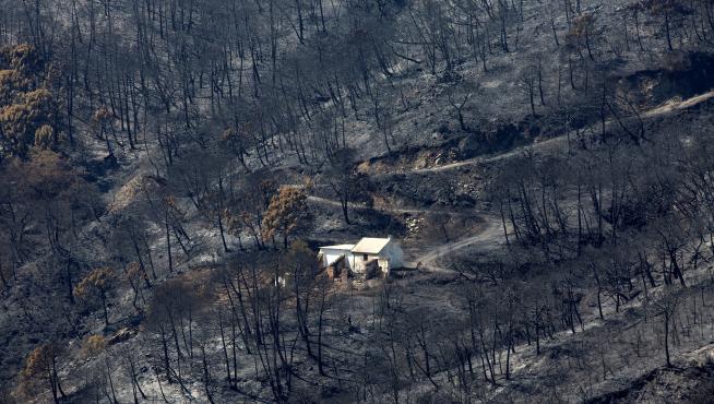 Un millar de desalojados y 3.600 hectáreas quemadas en el incendio de Málaga