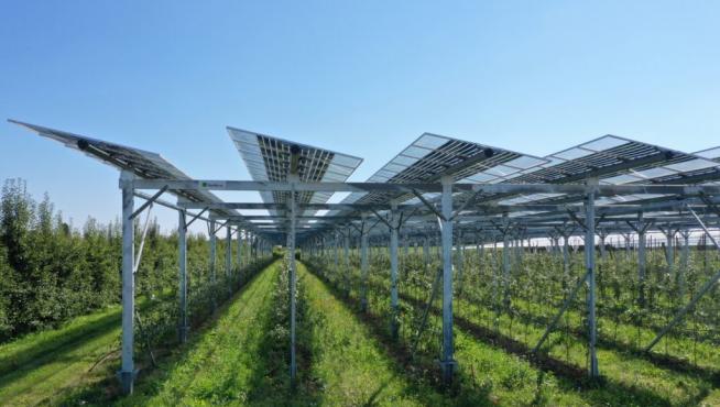 Sistemas agrovoltaicos que combinan cultivos y placas solares.
