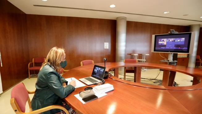 La consejera Mayte Pérez, durante la videoconferencia para presentar el informe sobre la aplicación de la bonificación del 20% de los costes laborales.