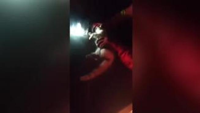 Reaniman a un gato que había inhalado humo del volcán