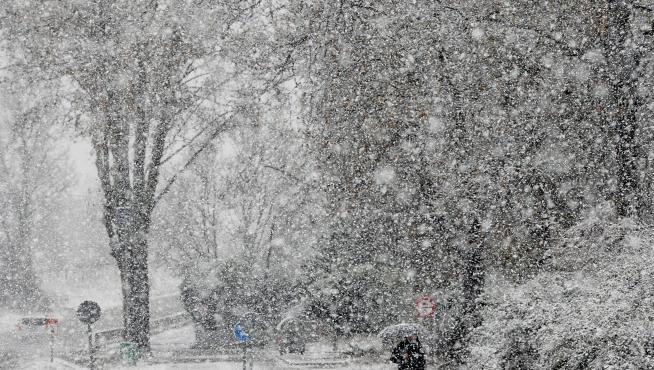 Activan alerta por nieve en 7 provincias