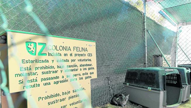 Un gato junto a uno de los carteles de la colonia felina de Pinares de Venecia.