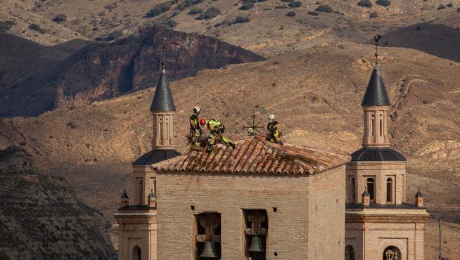 Los bomberos se encaramaron a lo alto de San Pedro de los Francos para retirar los nidos.