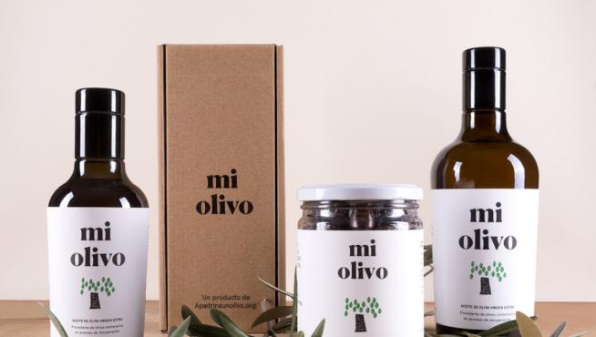 Los mejores aceites del Bajo Aragón 2022