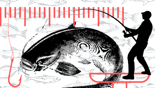 El siluro europeo es una especie de pez de agua dulce
