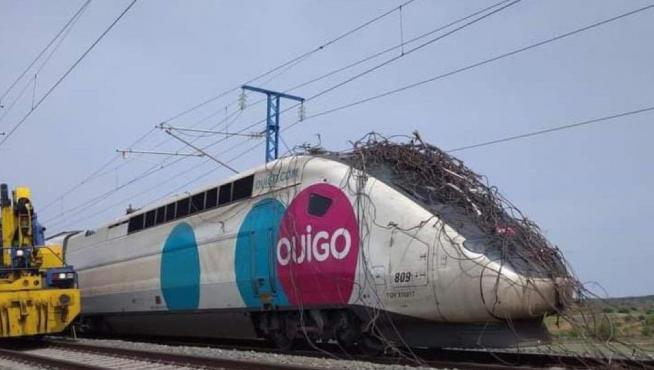 Imagen que se ha compartido en redes sociales del tren de Ouigo sobre el que ha caído la catenaria.