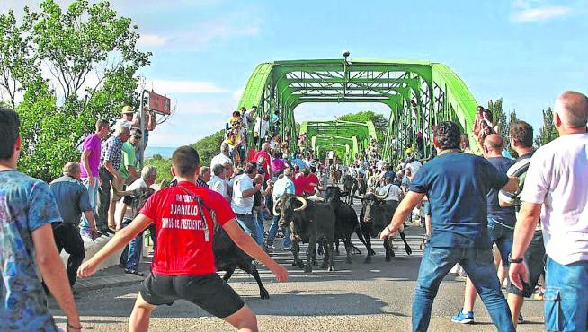 Imagen de archivo de la entrada de las vacas por el puente de Hierro de la localidad.