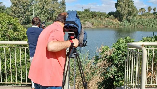 Unos cámaras graban la zona, en la dársena del Guadalquivir a su paso por Sevilla, donde fue encontrado el cadáver.