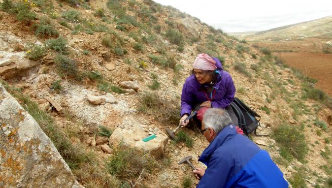 Trabajo de campo en el yacimiento de La Maca (Galve, Teruel)