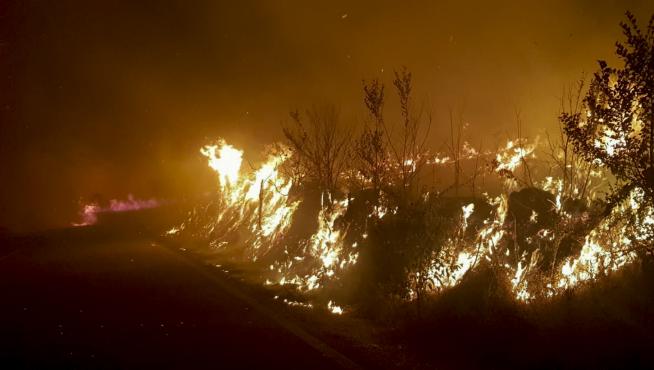 Foto del incendio en las faldas del Moncayo