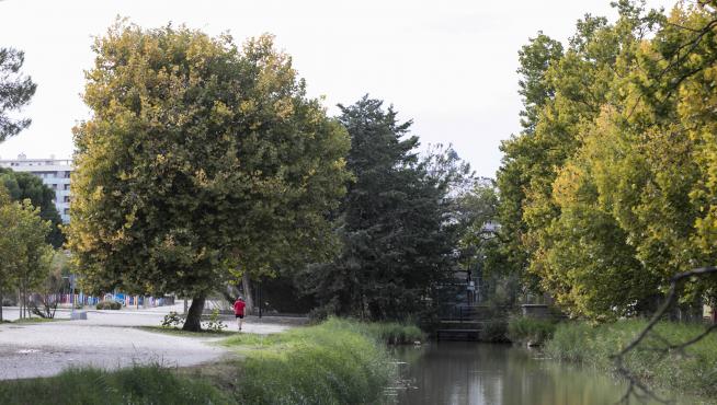 Uno de los objetivos estratégicos pretende reforzar los corredores naturales en el núcleo urbano de Zaragoza. En la imagen, el camino que transcurre junto al Canal Imperial en Zaragoza.