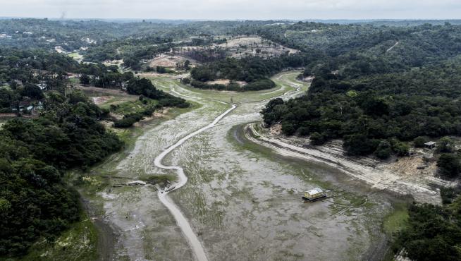 Sequía en el Amazonas
