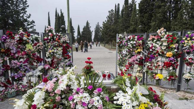 Flores en el Cementerio de Torrero de Zaragoza.