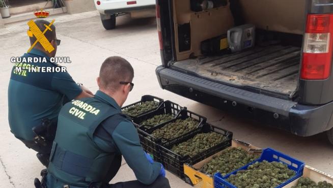 La Guardia Civil interviene más de 17 kilos de marihuana en Maella y Mequinenza