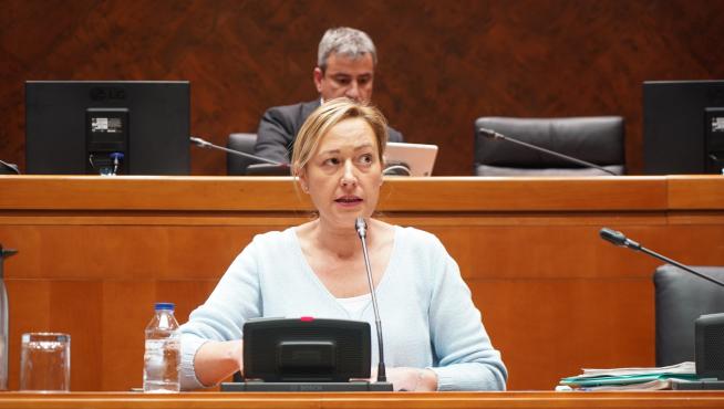 Marta Gastón, consejera de Economía, Planificación y Empleo, este martes en las Cortes.