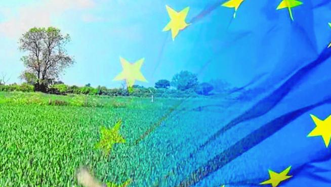 El 1 de enero de 2023 entra en vigor la reforma de la Política Agraria Común, cuya aplicación en cada país miembro ha quedado diseñada en su propio plan estratégico.