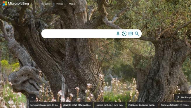 Imagen del buscador Microsoft Bing