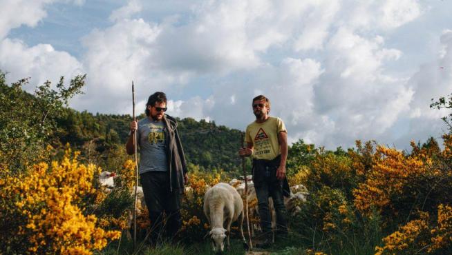 Los hermanos Garcés, junto a su rebaño de ovejas.