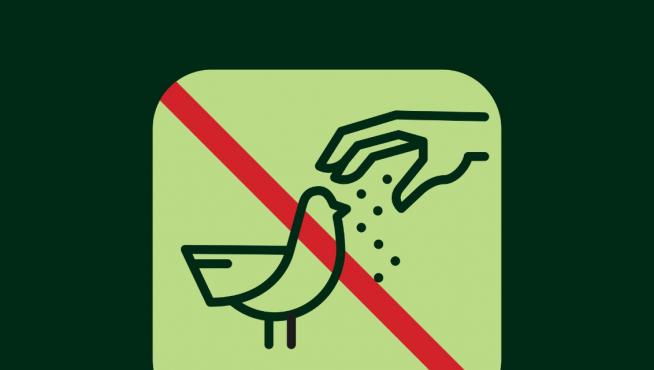 El Ayuntamiento de Zaragoza advierte sobre la importancia de no alimentar a las aves.