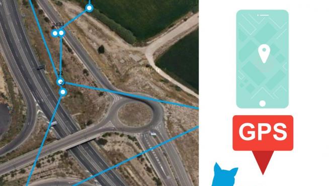 El animal fue liberado hace once días y ya ha cruzado varias veces la autopista.