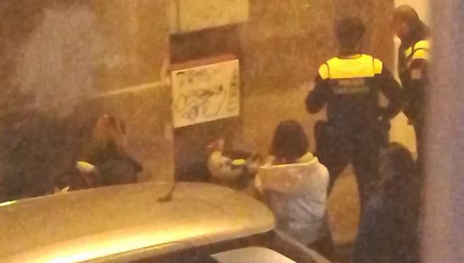 Un pato causa revuelo en las calles de Zaragoza