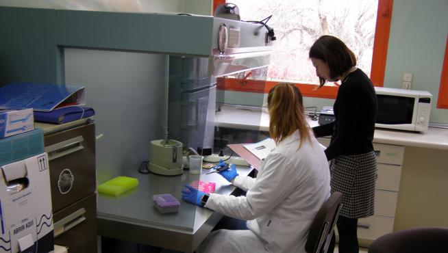 Técnicos del Laboratorio de la Unidad de Diagnóstico e Inspecciones Fitosanitarias, en plena labor investigadora.