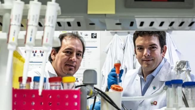 Los investigadores aragoneses contra el cáncer infantil.