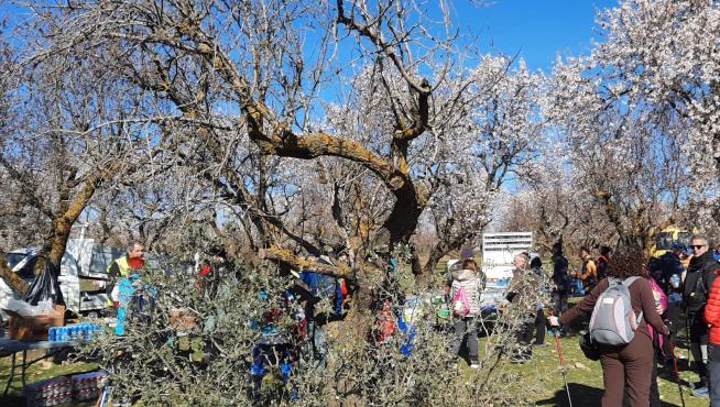 El entorno de Loarre, en la recién celebrada ruta del almendro, de la asociación Padelante