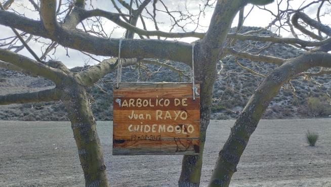 Cartel colgado en "el arbolico de Juan Rayo", en el camino viejo de Torrecilla de Valmadrid, cerca de Zaragoza.