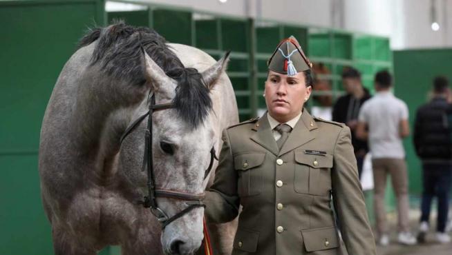 Inauguración de Figan