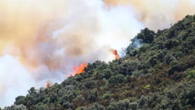 La proliferación de bosques y matorrales aumenta el riesgo de incendios. Fuego cerca de Llançà (Gerona), en julio de 2021.