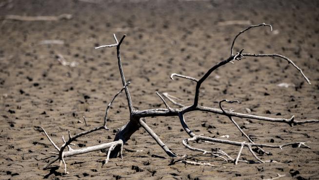 El Gobierno convoca para el 19 de abril la Mesa de la Sequía para evaluar su incidencia en el campo