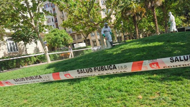 Imágenes de archivo de tratamientos contra la mosca negra y las garrapatas realizados el año pasado en Zaragoza.
