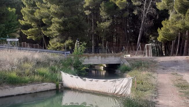 La primavera vuelve a llenar de corzos ahogados los canales del Bajo Aragón