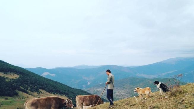 Raúl Acín Cazcarra, con sus vacas Parda de Montaña en el núcleo de Orós Alto, en Biescas.
