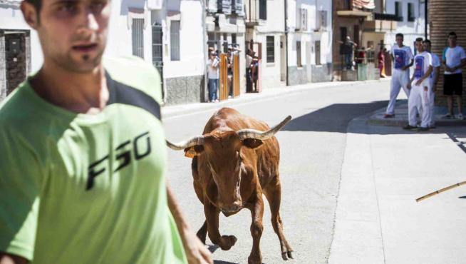 Vaquillas en las fiestas de El Burgo de Ebro