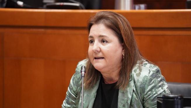 La directora gerente del INAEM, Ana López, ha comparecido en la Comisión de Economía, Empleo e Industria de las Cortes de Aragón.