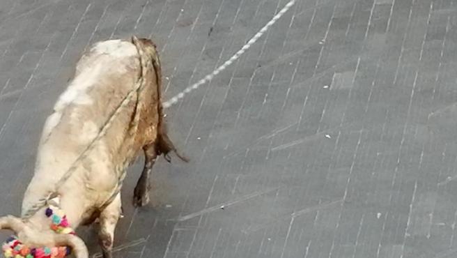 Segundo de la tarde en la plaza del Torico.