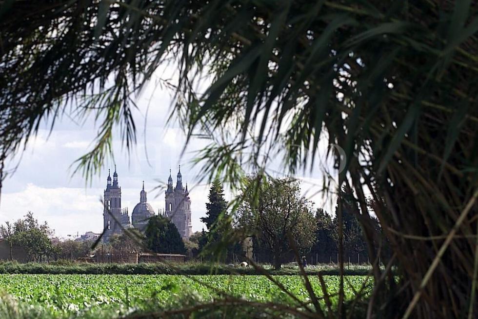 Vista de la Basílica del Pilar de Zaragoza desde el meandro de Ranillas