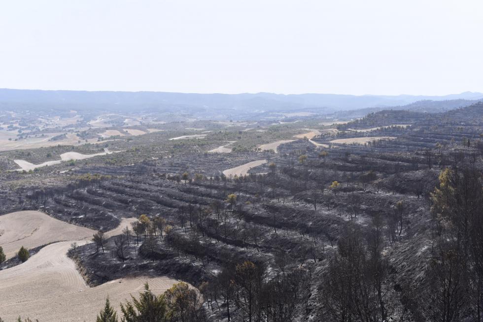 El incendio de la sierra de Alcubierre, entre Leciñena y Perdiguera, ha quemado 1.200 hectáreas